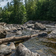 Kanaskat-Palmer State Park, Washington