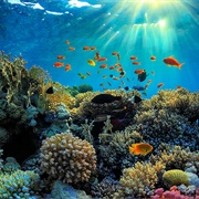 Great Barrier Reef, Australia