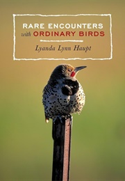 Rare Encounters With Ordinary Birds (Haupt, Lyanda Lynn)