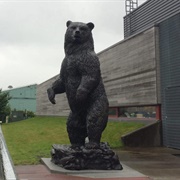 Kodiak Bear, Anchorage, Alaska