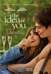 The Idea of You (2024)