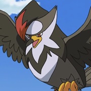 Ash&#39;s Staraptor