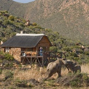 Aquila Private Game Reserve, Touws River, South Africa