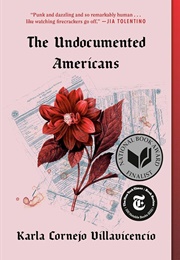 The Undocumented Americans (Villavicencio, Karla Cornejo)