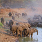 Zakouma National Park, Chad