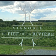 Vignoble Le Fief De La Rivière