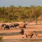 Mkhaya Game Reserve, Eswatini