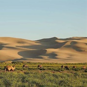 Gobi Desert, Mongolia/China