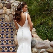 Wedding Dress With Line of Fabric Buttons