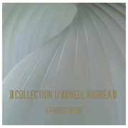 Collection D&#39;Arnell~Andréa- A Forest