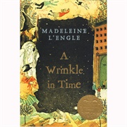 A Wrinkle in Time-Book