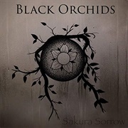 Black Orchids – Sakura Sorrow