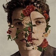 In My Blood - Shawn Mendes