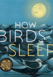 How Birds Sleep (Sarah Pedry)