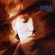 Kelly&#39;s Blues - The Triffids