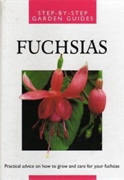 Fuchsias (Leo B. Boullemier)