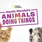 Howie Mandel&#39;s Animals Doing Things