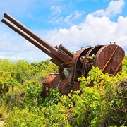 Japanese Guns, Nauru