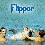 Flipper Season 1