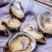 Apalachicola Oysters