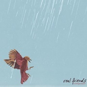 Smiling on the Surface - Real Friends