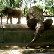 Buenos Aires Zoo