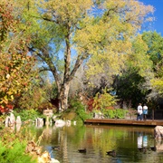 ABQ Biopark Botanic Garden (NM)