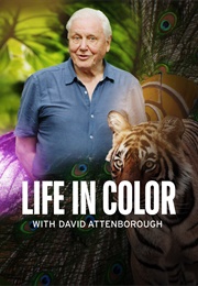 Life in Colour With David Attenborough (2021)