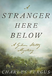 A Stranger Here Below: A Gideon Stoltz Mystery (Fergus, Charles)