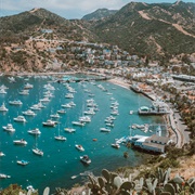 Avalon, Santa Catalina, USA