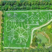 The Enchanted Maze Garden