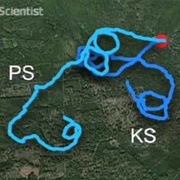 Patterns of People Who Are Lost With No Direction