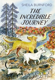 The Incredible Journey (Shelia Burnford)