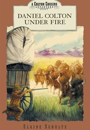 Daniel Colton Under Fire (Elaine Schulte)