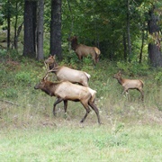 J.T. Nickel Family Nature &amp; Wildlife Preserve