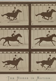 The Horse in Motion (1878) (1890)