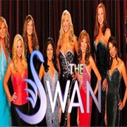 The Swan