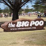 Big Poo