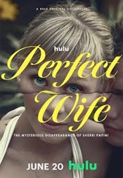 Perfect Wife: The Mysterious Disappearance of Sherri Papini (2024)