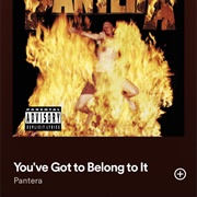 You&#39;ve Got to Belong to It - Pantera