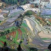 Honghe Hani Rice Terraces