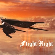 1. Flight Night