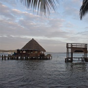 The Pickled Parrot, Bocas