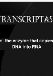 Transcriptase (Various)