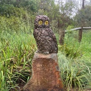 &#39;Mullum Mullum the Owl&#39;