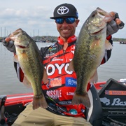 Michael Iaconelli