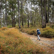 The Bibbulmun Track, Australia