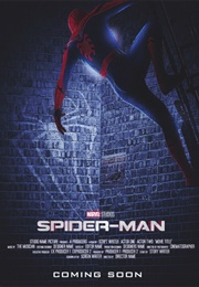 Spider-Man: Web of Destiney (2007)