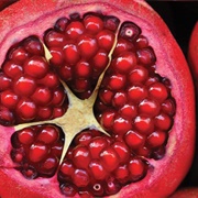 Pomegranate