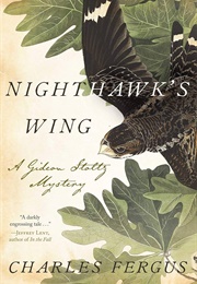 Nighthawk&#39;s Wing: A Gideon Stoltz Mystery (Fergus, Charles)